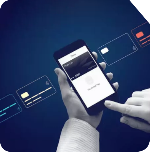 Semi-Closed Wallet Development