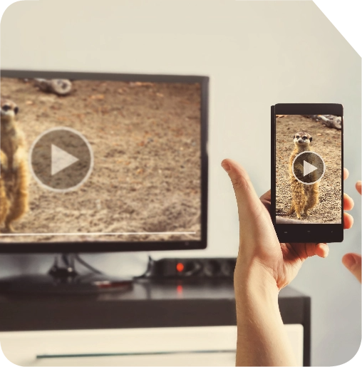 TV Streaming App Development