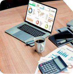 Accounting Management Software Development