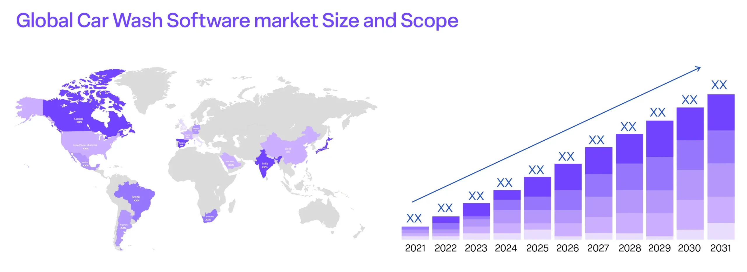 global car wash software market size