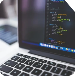 Custom Web Portal Development 