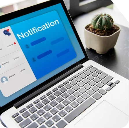 WEB PORTAL DEVELOPMENT COMPANY