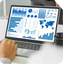 Reporting and Data Visualization Services