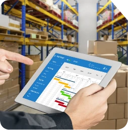 Warehouse Management Systems (WMS)